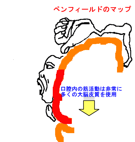 �y���t�B�[���h�̃}�b�v